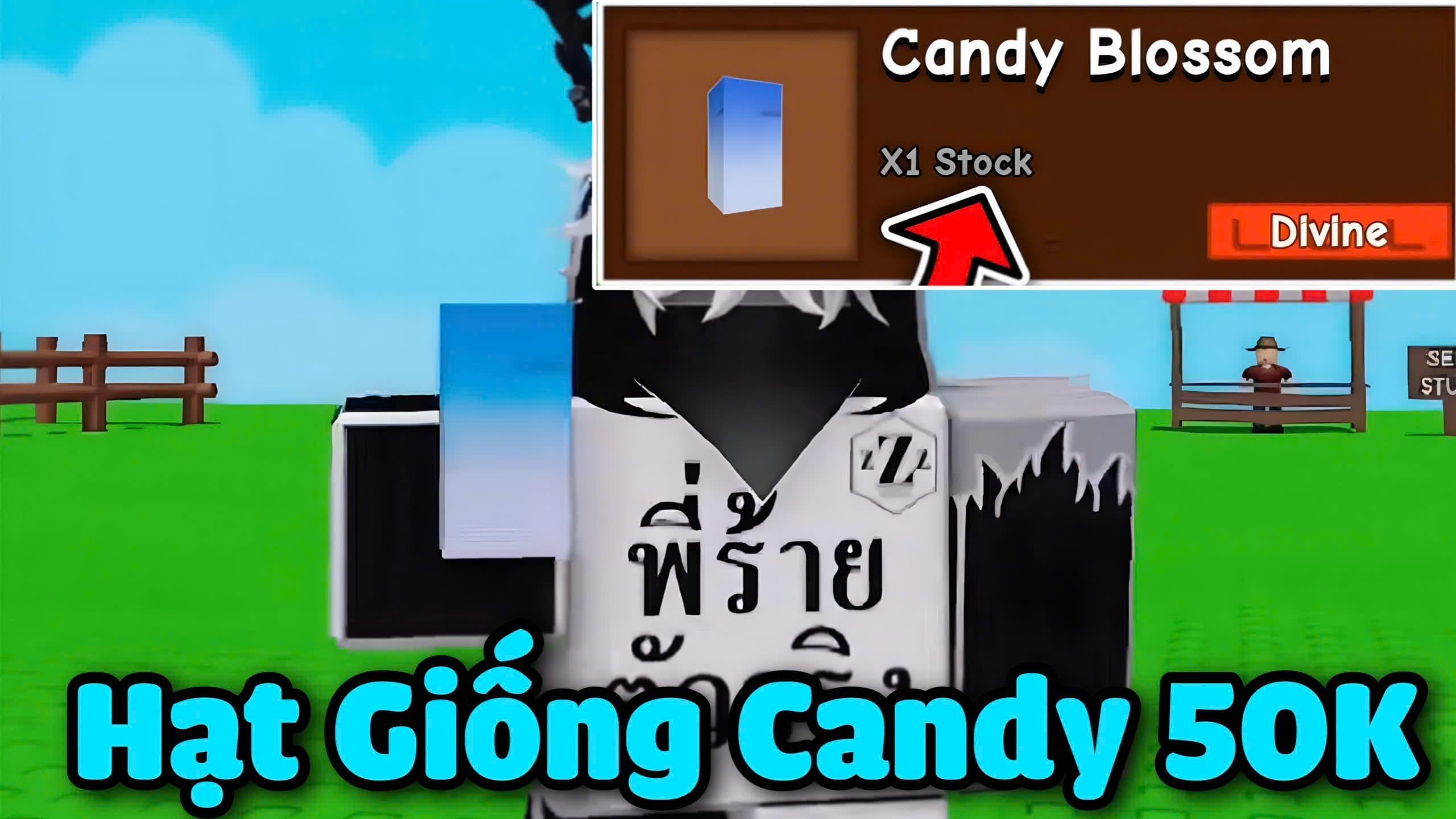 Ảnh minh họa HẠT GIỐNG CANDY BLOSSOM - GIÁ 50K